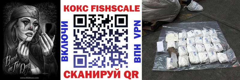 КОКАИН Fish Scale  купить  сайты  Норильск 