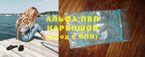 крисы Абаза