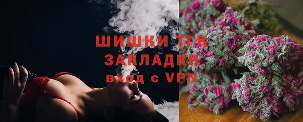 крисы Абаза