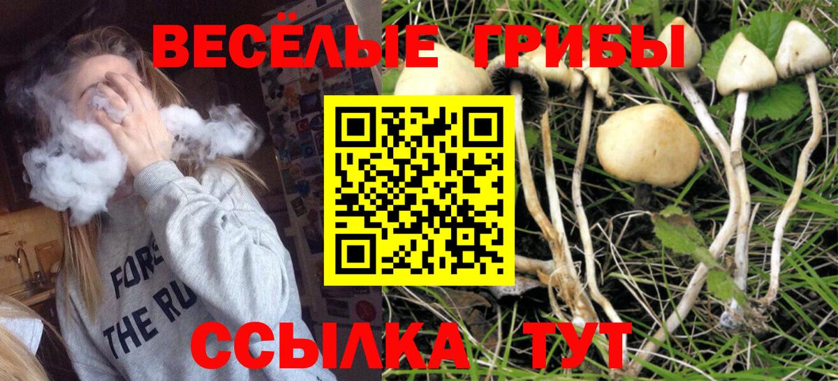 Псилоцибиновые грибы мухоморы Норильск