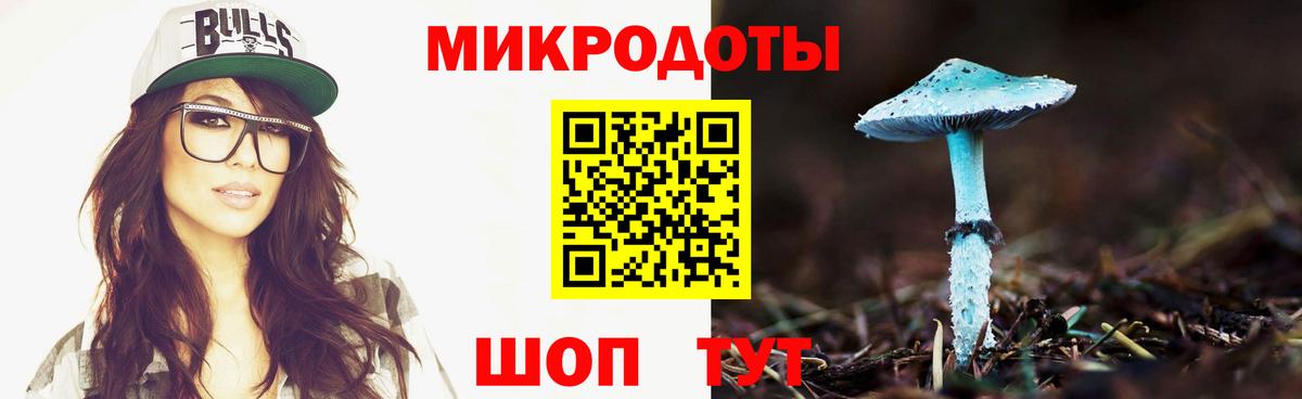 Норильск  Псилоцибиновые грибы мухоморы  Вход с VPN 