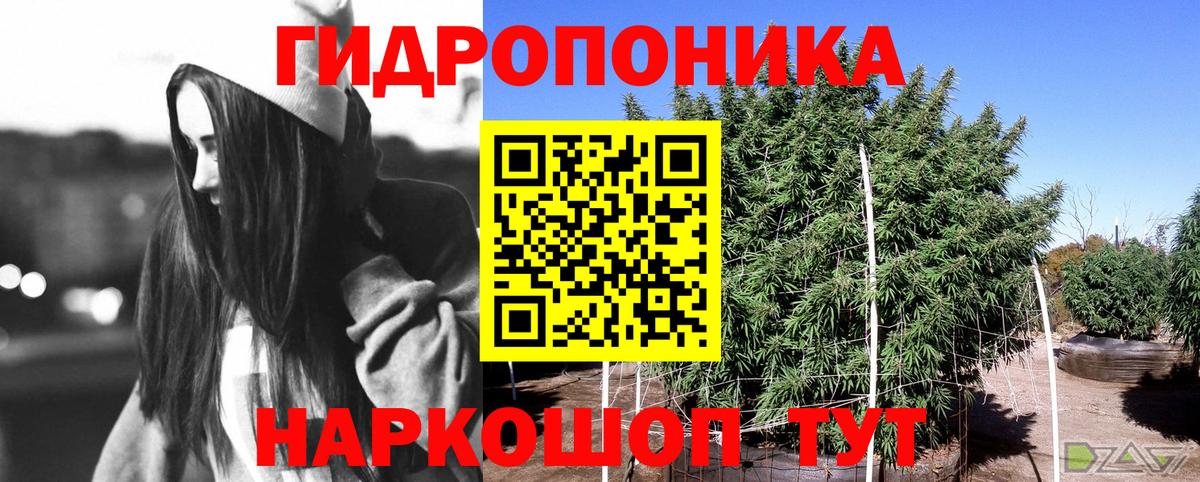 Шишки марихуана конопля Норильск